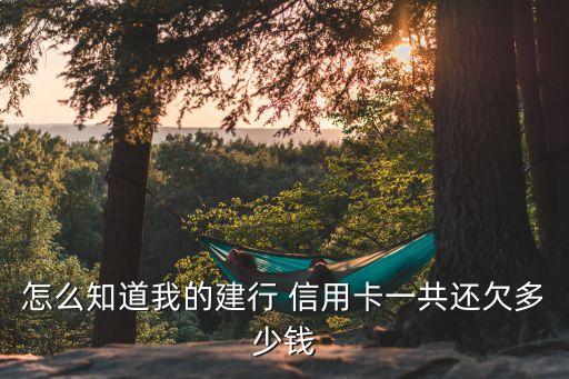 怎么知道我的建行 信用卡一共还欠多少钱