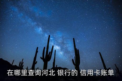 在哪里查询河北 银行的 信用卡账单
