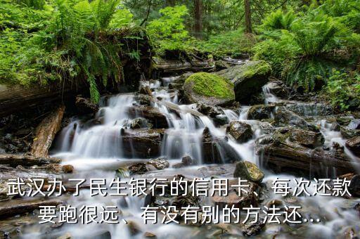 武汉办了民生银行的信用卡、每次还款要跑很远、有没有别的方法还...