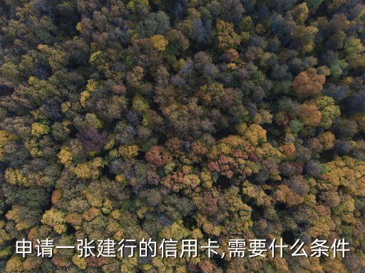 申请一张建行的信用卡,需要什么条件
