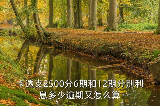 卡透支2500分6期和12期分别利息多少逾期又怎么算