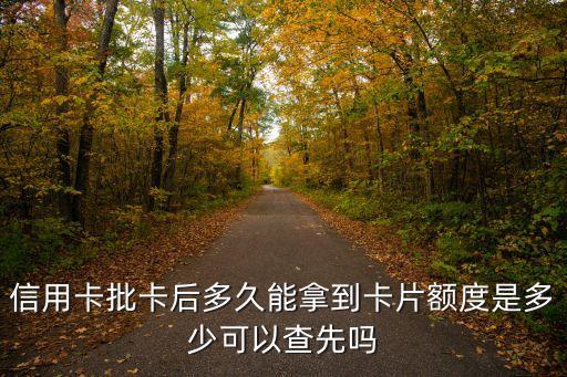 信用卡批卡后多久能拿到卡片额度是多少可以查先吗