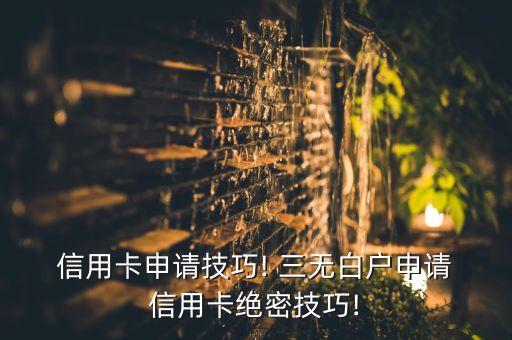  信用卡申请技巧! 三无白户申请 信用卡绝密技巧!