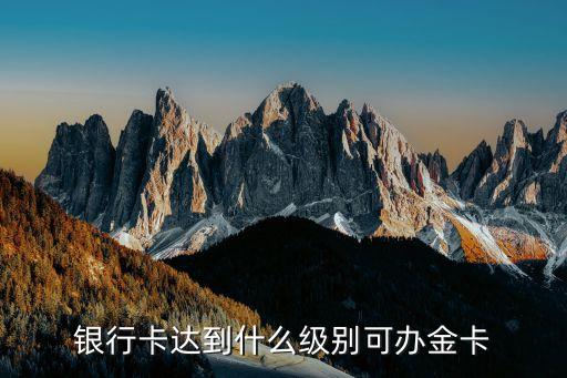 银行卡达到什么级别可办金卡