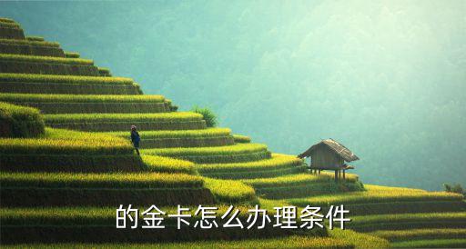 的金卡怎么办理条件