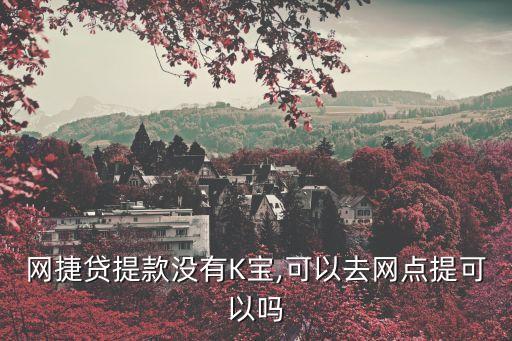 网捷贷提款没有K宝,可以去网点提可以吗