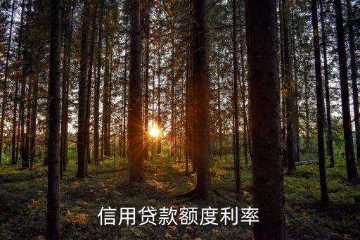 信用贷款额度利率