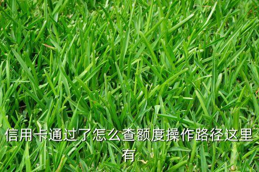 浦发信用卡怎么查看总额度,如何查询浦发银行的授信额度