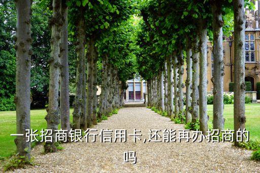 一张招商银行信用卡,还能再办招商的吗