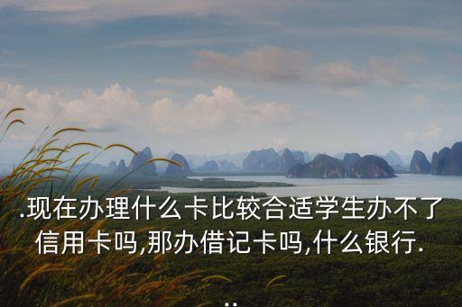 .现在办理什么卡比较合适学生办不了信用卡吗,那办借记卡吗,什么银行...