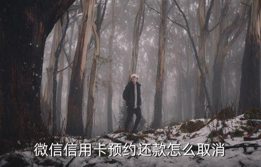 微信信用卡预约还款怎么取消