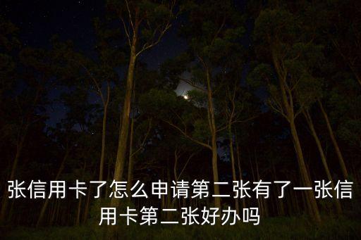 如何再次申请信用卡,个人如何办理信用卡