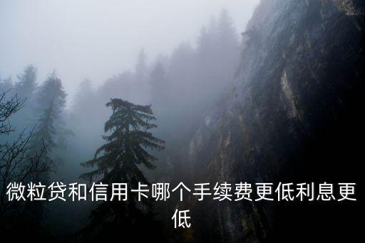 微粒贷和信用卡哪个手续费更低利息更低