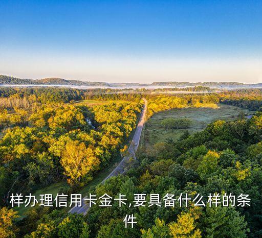 样办理信用卡金卡,要具备什么样的条件