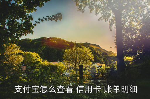  支付宝怎么查看 信用卡 账单明细