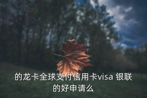 的龙卡全球支付信用卡visa 银联的好申请么