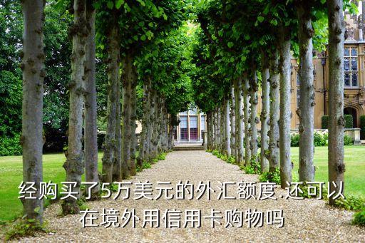 经购买了5万美元的外汇额度.还可以在境外用信用卡购物吗
