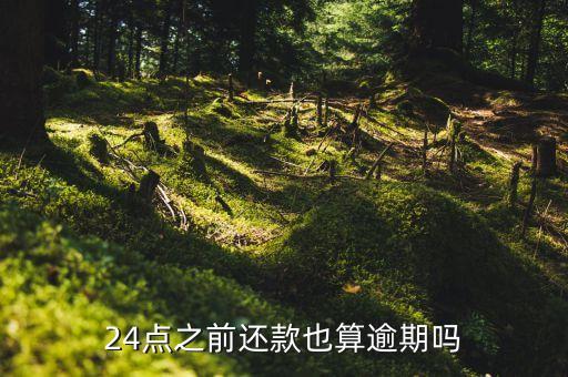 24点之前还款也算逾期吗