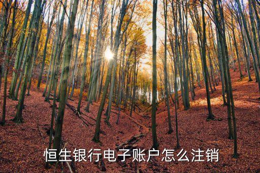 恒生银行电子账户怎么注销