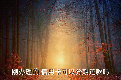 刚办理的 信用卡可以分期还款吗
