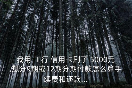 我用 工行 信用卡刷了 5000元,想分9期或12期分期付款怎么算手续费和还款...