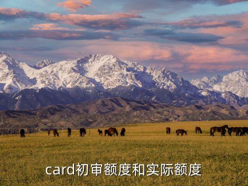 card初审额度和实际额度