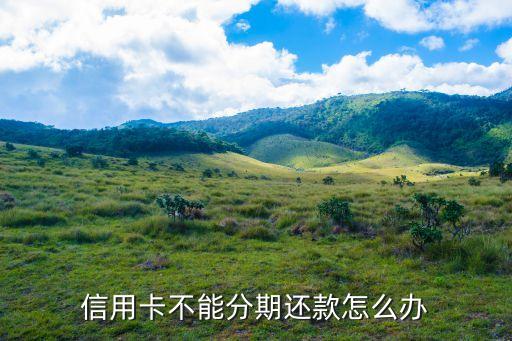 信用卡不能分期还款怎么办