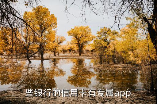 绵阳商业银行信用卡app是什么,平安银行的信用卡app是什么