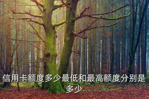 信用卡额度多少最低和最高额度分别是多少