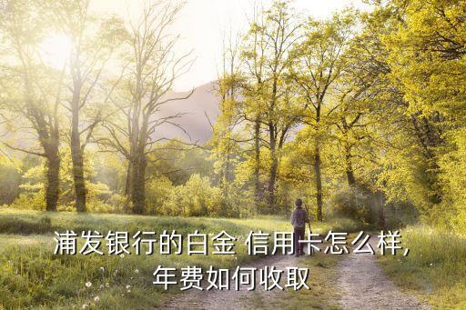  浦发银行的白金 信用卡怎么样, 年费如何收取