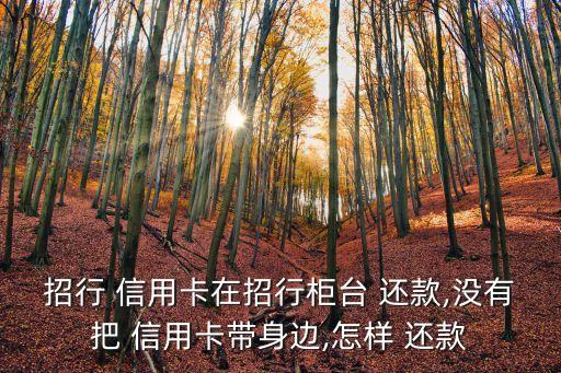 招行 信用卡在招行柜台 还款,没有把 信用卡带身边,怎样 还款