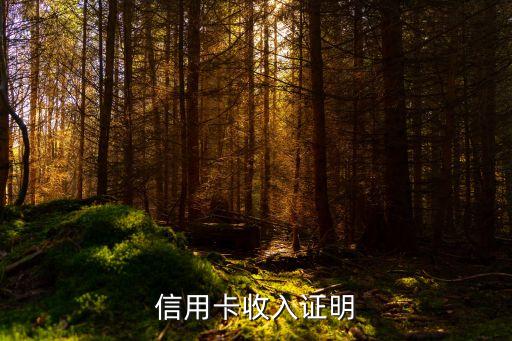 信用卡收入证明