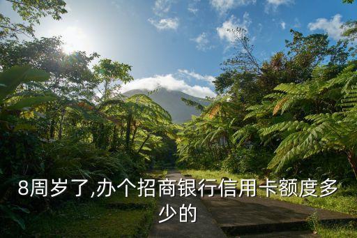 8周岁了,办个招商银行信用卡额度多少的