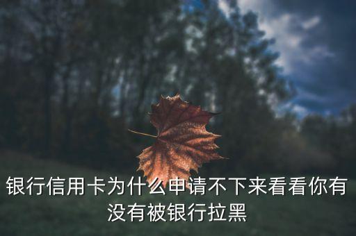 银行信用卡为什么申请不下来看看你有没有被银行拉黑