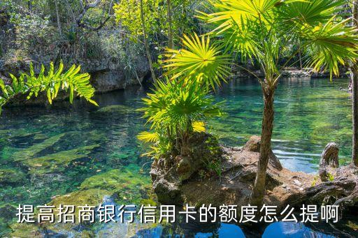 提高招商银行信用卡的额度怎么提啊