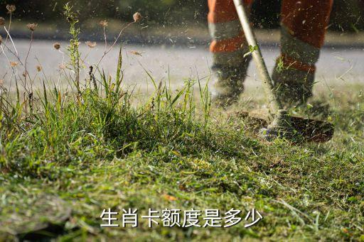 生肖卡额度是多少