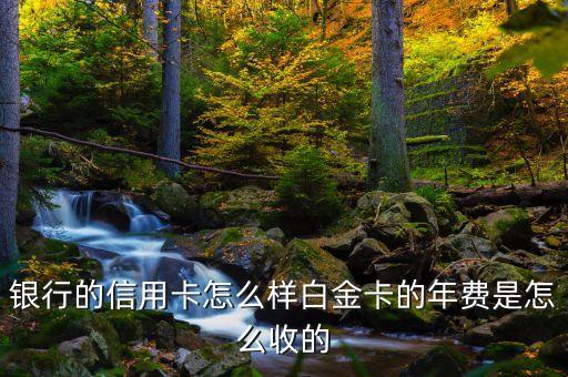 银行的信用卡怎么样白金卡的年费是怎么收的