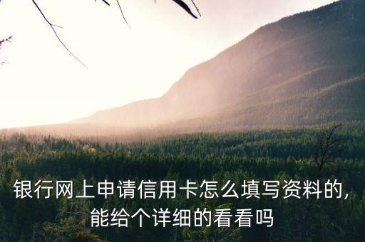 银行网上申请信用卡怎么填写资料的,能给个详细的看看吗
