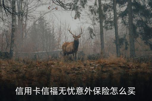 信用卡信福无忧意外保险怎么买