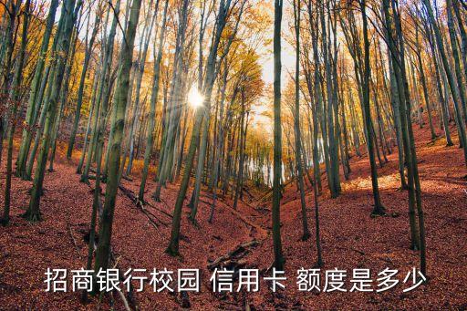 招商信用卡大学生额度多少
