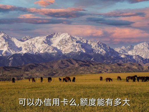 校园版交通信用卡额度,交大校区如何申请信用卡额度