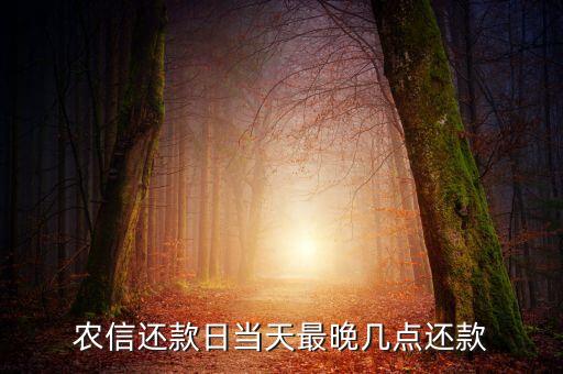 广东农信信用卡还款日,浙江农村信用卡还款日