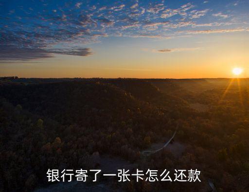 按揭车给还款信用卡吗,信用卡可以抵押还款吗