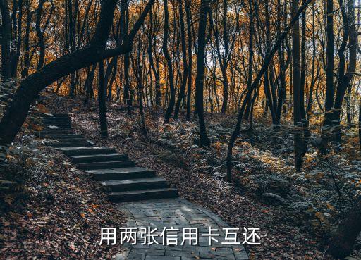 用两张信用卡互还