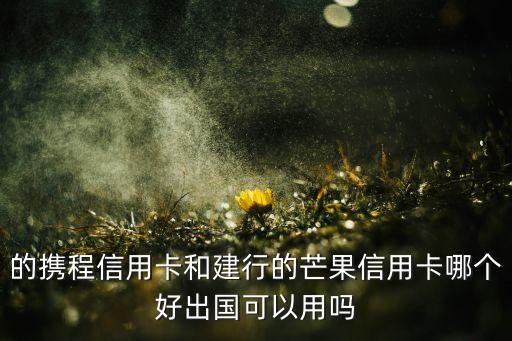 的携程信用卡和建行的芒果信用卡哪个好出国可以用吗