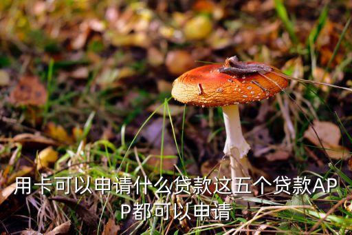 用卡可以申请什么贷款这五个贷款APP都可以申请