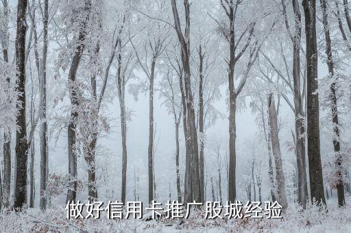 做好信用卡推广股城经验