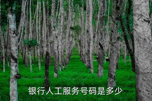 银行人工服务号码是多少