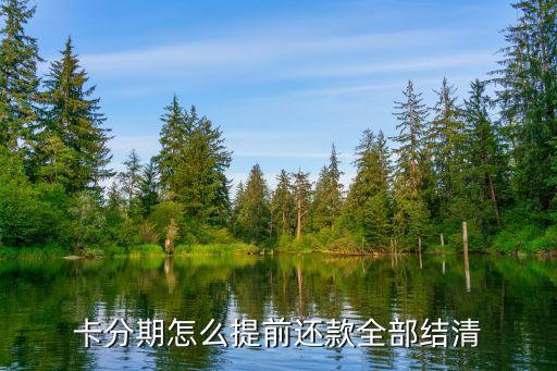 卡分期怎么提前还款全部结清