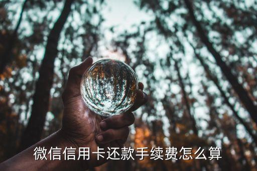 微信信用卡还款手续费怎么算